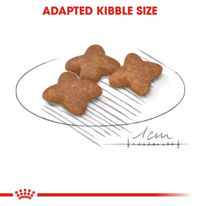 Royal Canin Mini Adult Dry Food For Dog