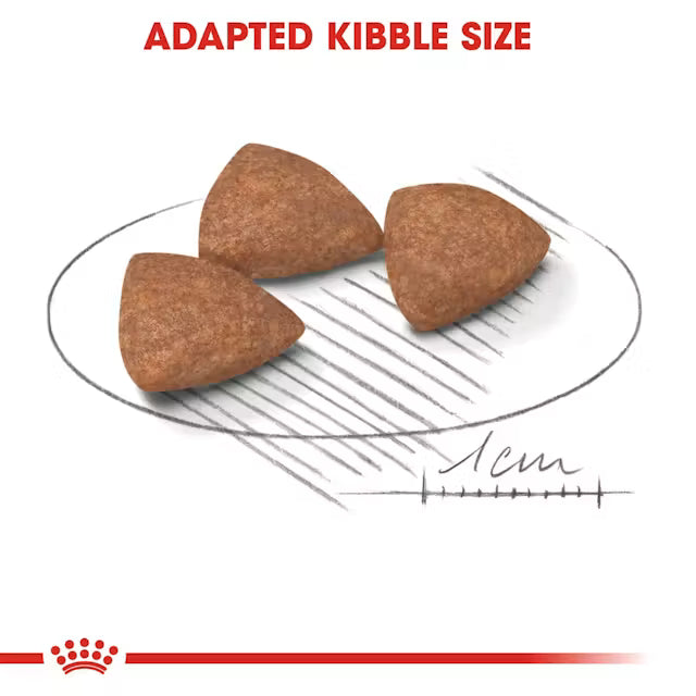Royal Canin Mini Indoor Adult Dry Food for Dogs