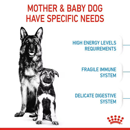 Royal Canin Maxi Starter Mother and Baby Dog Dry food for Dog