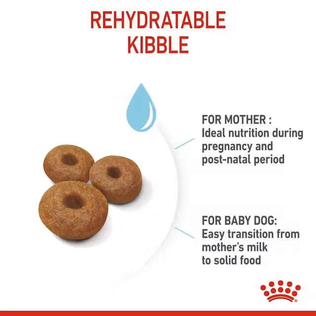Royal Canin Maxi Starter Mother and Baby Dog Dry food for Dog