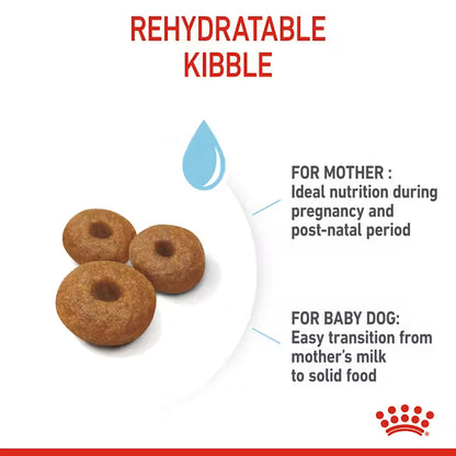 Royal Canin Maxi Starter Mother and Baby Dog Dry food for Dog