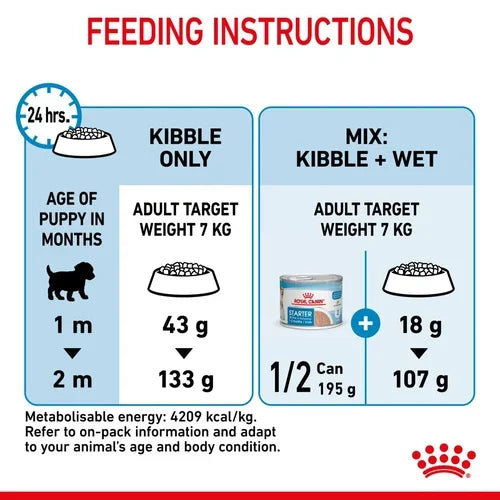 Royal Canin Mini Starter Mother and Babydog