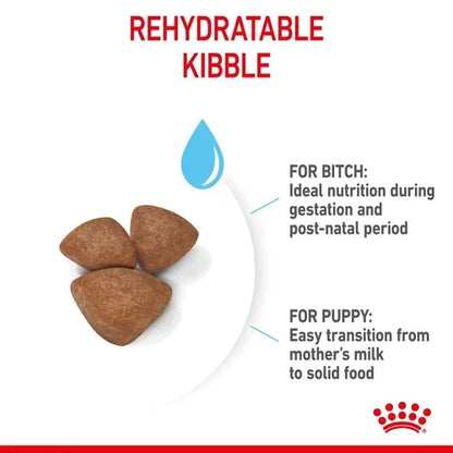 Royal Canin Mini Starter Mother and Babydog